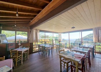 Foto 9 - Locale Commerciale Via Trescolli
 
1546, Camaiore - foto 9