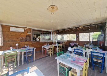 Foto 14 - Locale Commerciale Via Trescolli
 
1546, Camaiore - foto 14