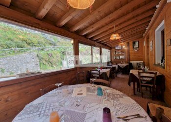 Foto 14 - Commercial Activity Via Trescolli
 
1546, Camaiore - photo 14