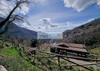 Foto 20 - Commercial Activity Via Trescolli
 
1546, Camaiore - photo 20