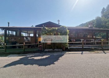 Foto 4 - Commercial Activity Via Trescolli
 
1546, Camaiore - photo 4