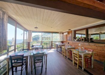 Foto 8 - Commercial Activity Via Trescolli
 
1546, Camaiore - photo 8