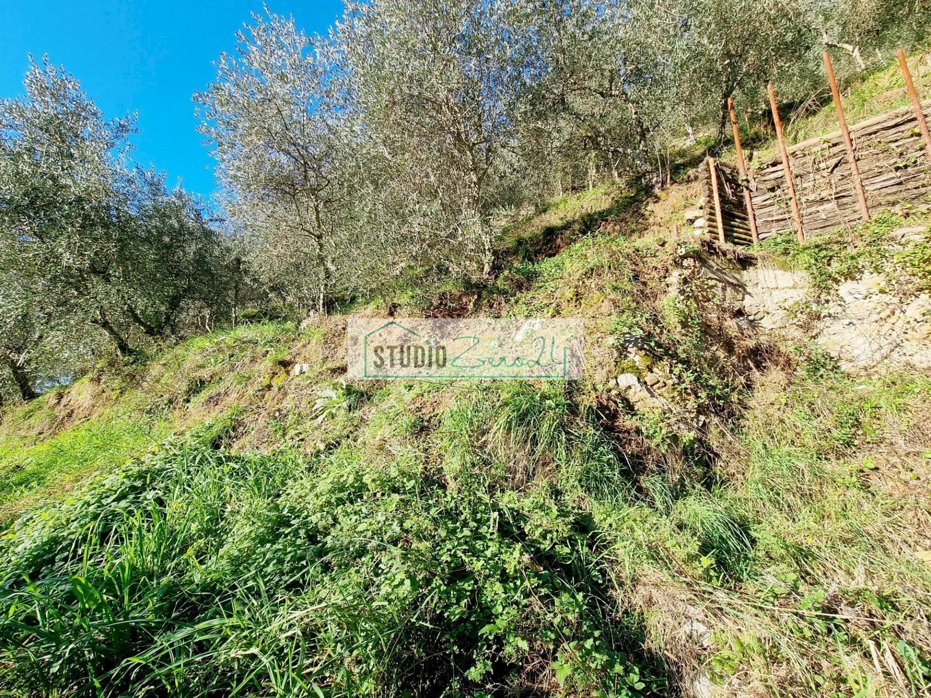 Foto 2 - Agricultural land via sandro pertini, Camaiore - photo 2