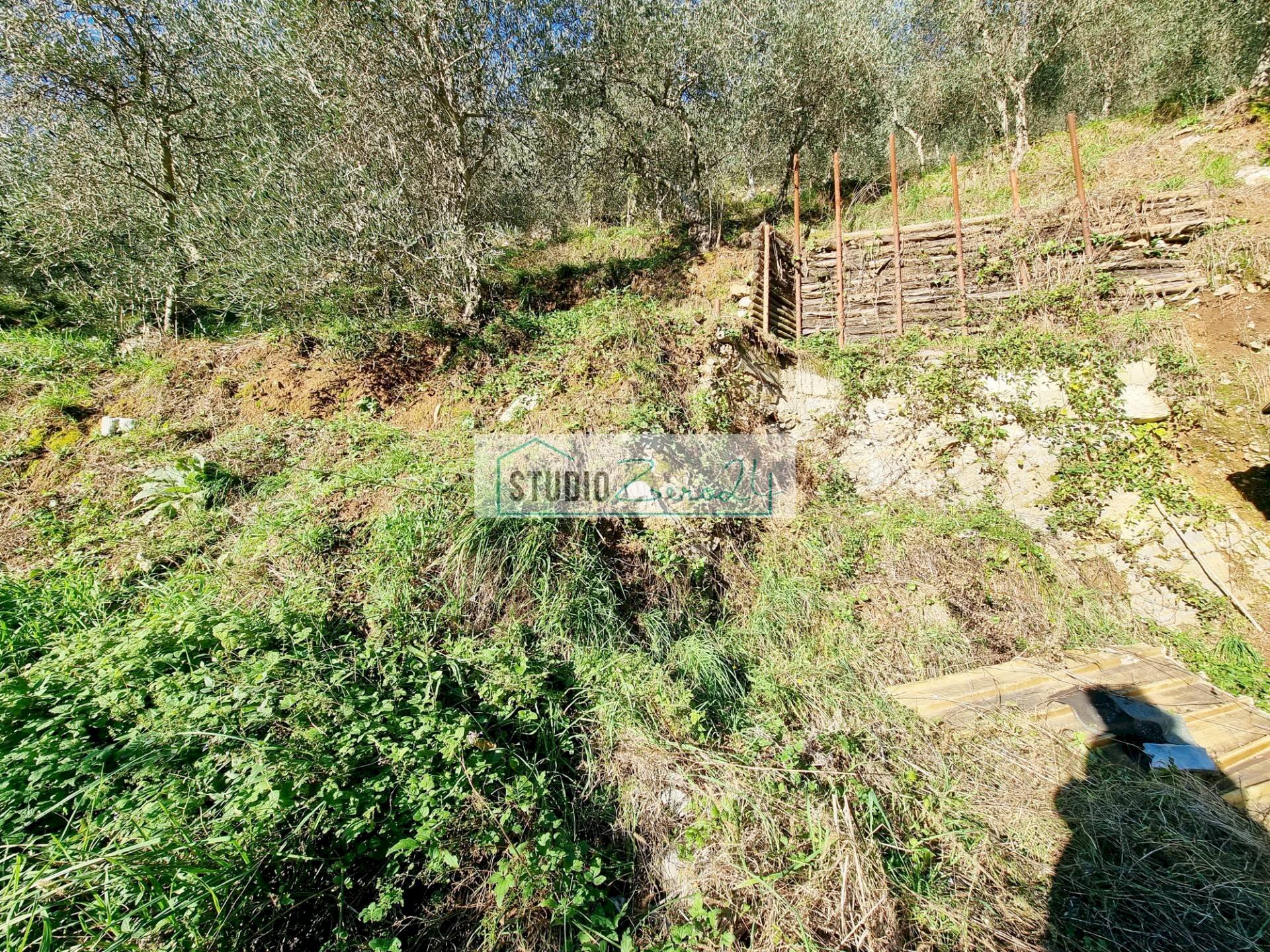 Foto 3 - Agricultural land via sandro pertini, Camaiore - photo 3