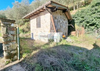 Foto 1 - Agricultural land via sandro pertini, Camaiore - photo 1