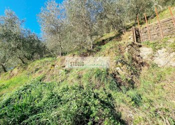 Foto 2 - Agricultural land via sandro pertini, Camaiore - photo 2