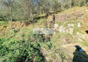 Foto 3 - Agricultural land via sandro pertini, Camaiore - photo 3