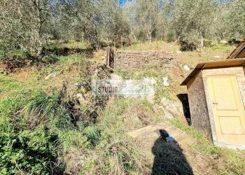 Foto 4 - Agricultural land via sandro pertini, Camaiore - photo 4