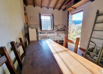 Foto 6 - Agricultural land via sandro pertini, Camaiore - photo 6