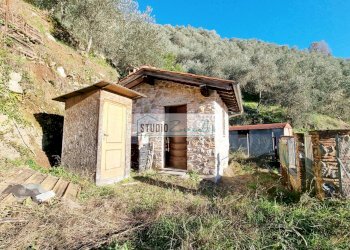 Foto 8 - Agricultural land via sandro pertini, Camaiore - photo 8