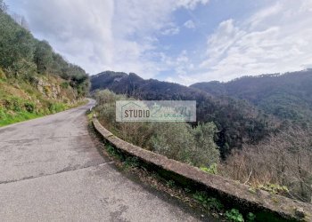 Foto 9 - Agricultural land via sandro pertini, Camaiore - photo 9