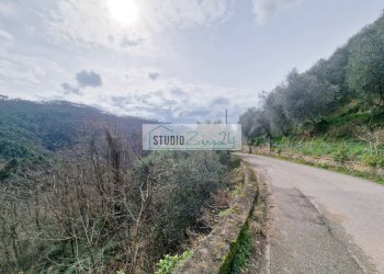 Foto 10 - Agricultural land via sandro pertini, Camaiore - photo 10