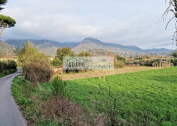 Foto 4 - Agricultural land via della serra, Camaiore - photo 4