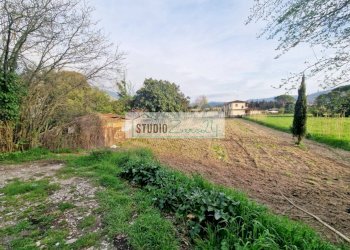 Foto 6 - Agricultural land via della serra, Camaiore - photo 6