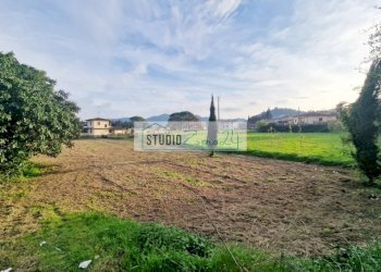 Foto 8 - Agricultural land via della serra, Camaiore - photo 8