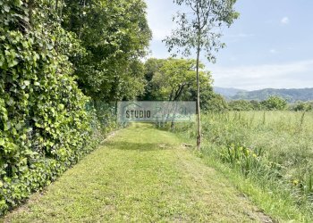 Foto 2 - Agricultural land Via del Gallino
 
11, Camaiore - photo 2