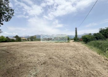 Foto 3 - Agricultural land Via del Gallino
 
11, Camaiore - photo 3