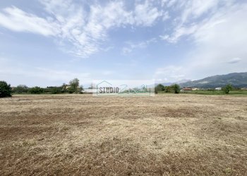 Foto 4 - Agricultural land Via del Gallino
 
11, Camaiore - photo 4