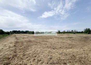 Foto 5 - Agricultural land Via del Gallino
 
11, Camaiore - photo 5