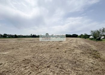 Foto 6 - Agricultural land Via del Gallino
 
11, Camaiore - photo 6