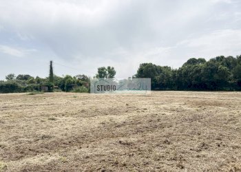 Foto 7 - Agricultural land Via del Gallino
 
11, Camaiore - photo 7