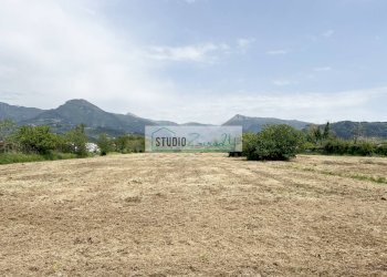 Foto 8 - Agricultural land Via del Gallino
 
11, Camaiore - photo 8