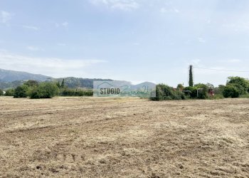 Foto 9 - Agricultural land Via del Gallino
 
11, Camaiore - photo 9