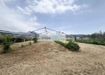 Foto 11 - Agricultural land Via del Gallino
 
11, Camaiore - photo 11