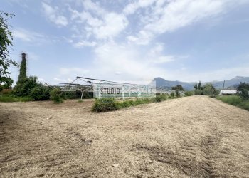 Foto 13 - Agricultural land Via del Gallino
 
11, Camaiore - photo 13