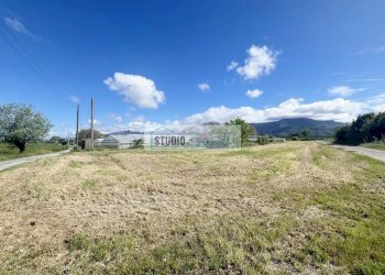 Foto 14 - Agricultural land Via del Gallino
 
11, Camaiore - photo 14