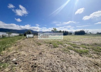 Foto 15 - Agricultural land Via del Gallino
 
11, Camaiore - photo 15