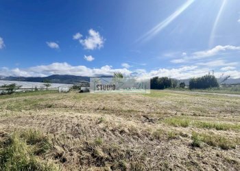 Foto 16 - Agricultural land Via del Gallino
 
11, Camaiore - photo 16