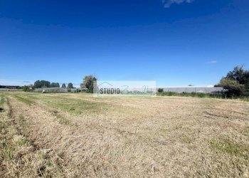 Foto 17 - Agricultural land Via del Gallino
 
11, Camaiore - photo 17