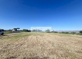 Foto 19 - Agricultural land Via del Gallino
 
11, Camaiore - photo 19