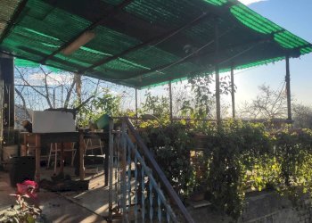 Foto 4 - Rustico rimembranze
 
22, Amelia - foto 4