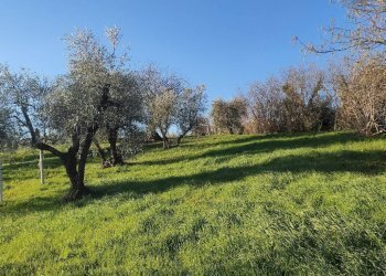 Foto 6 - Rustico rimembranze
 
22, Amelia - foto 6