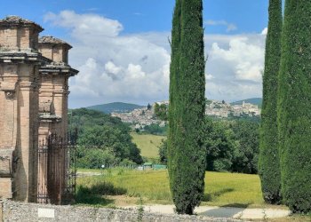 Foto 4 - Magazzino Amelia - foto 4