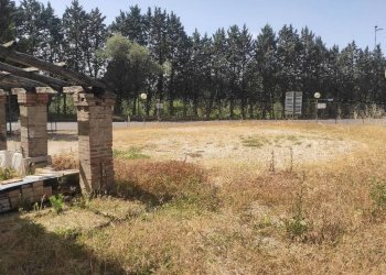 Foto 15 - Magazzino Amelia - foto 15