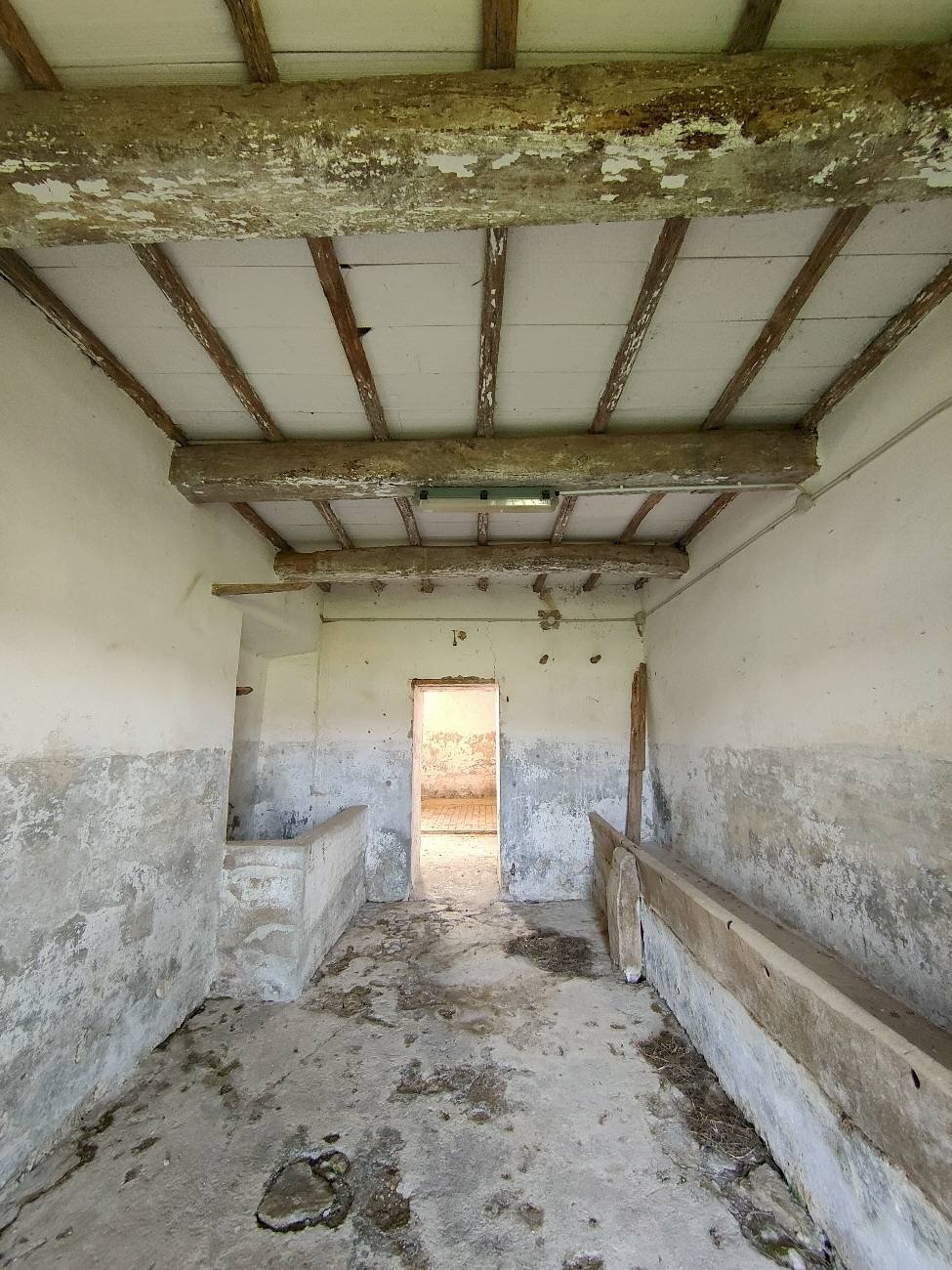 Foto 3 - Rustico Amelia - foto 3