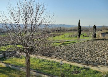 Foto 4 - Villa Alviano - foto 4