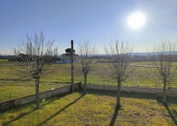 Foto 5 - Villa Alviano - foto 5