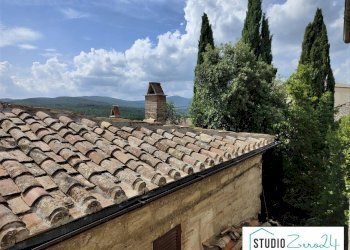 Foto 4 - Agriturismo Amelia - photo 4