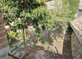 Foto 8 - Agriturismo Amelia - photo 8