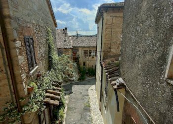 Foto 12 - Agriturismo Amelia - photo 12