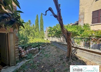 Foto 14 - Agriturismo Amelia - photo 14