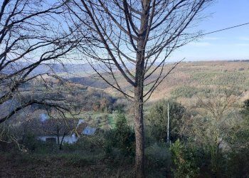 Foto 4 - Rustico Penna in Teverina - foto 4