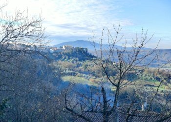 Foto 5 - Rustico Penna in Teverina - foto 5