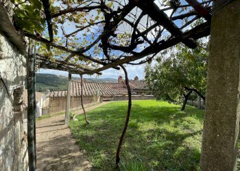 Foto 41 - Stabile - Palazzo Amelia - foto 41