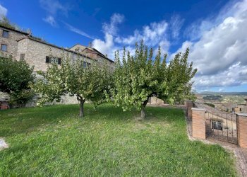 Foto 47 - Stabile - Palazzo Amelia - foto 47