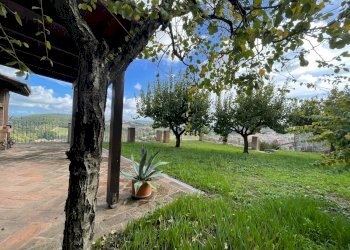 Foto 53 - Stabile - Palazzo Amelia - foto 53